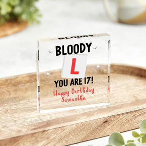 Personalised 17th Birthday Gift Plaque, Funny Birthday Gift, New Driving Gift, Driving Lessons Gift, Birthday Keepsake Gift